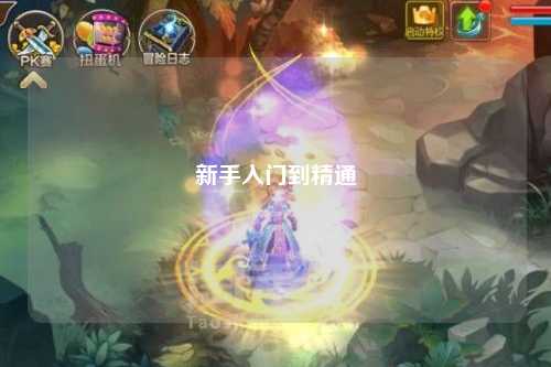 新手入门到精通