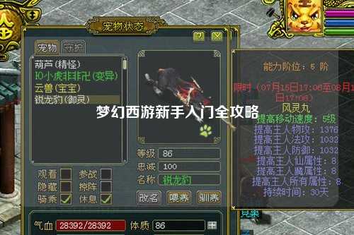 梦幻西游新手入门全攻略