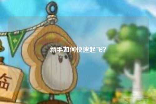 新手如何快速起飞？