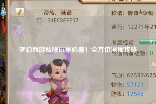 梦幻西游私服玩家必看！全方位深度攻略