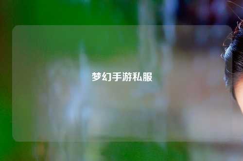 梦幻手游私服
