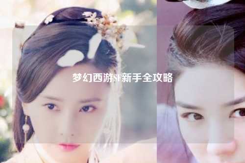 梦幻西游SF新手全攻略