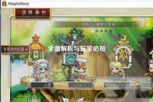 全面解析与玩家必知