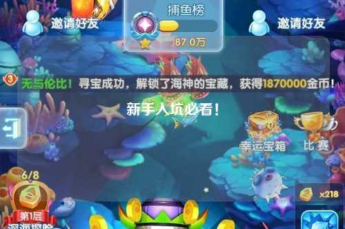 新手入坑必看！