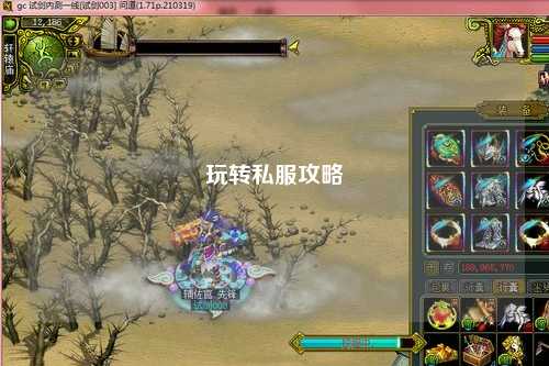 玩转私服攻略