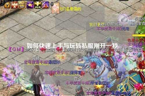 如何快速上手与玩转私服刚开一秒