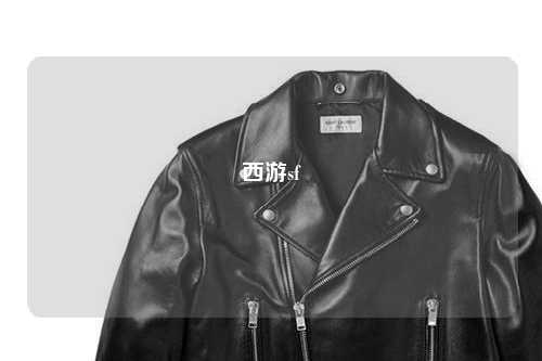西游sf