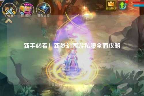 新手必看！新梦幻西游私服全面攻略