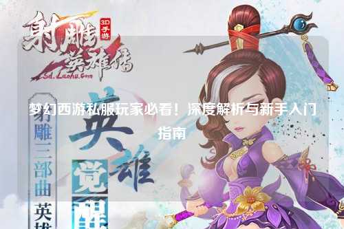 梦幻西游私服玩家必看！深度解析与新手入门指南