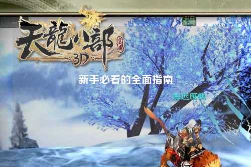 新手必看的全面指南