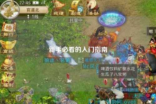 新手必看的入门指南