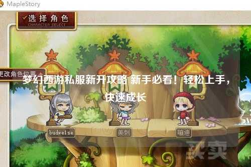 梦幻西游私服新开攻略 新手必看！轻松上手，快速成长